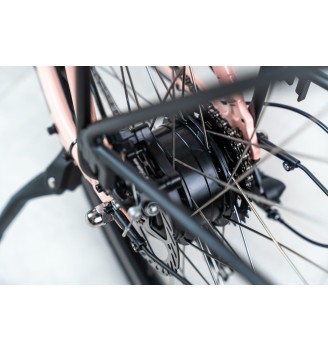 Neon Raya 450Wh Nude Pink 18" – miejski rower elektryczny | 2rowery.pl